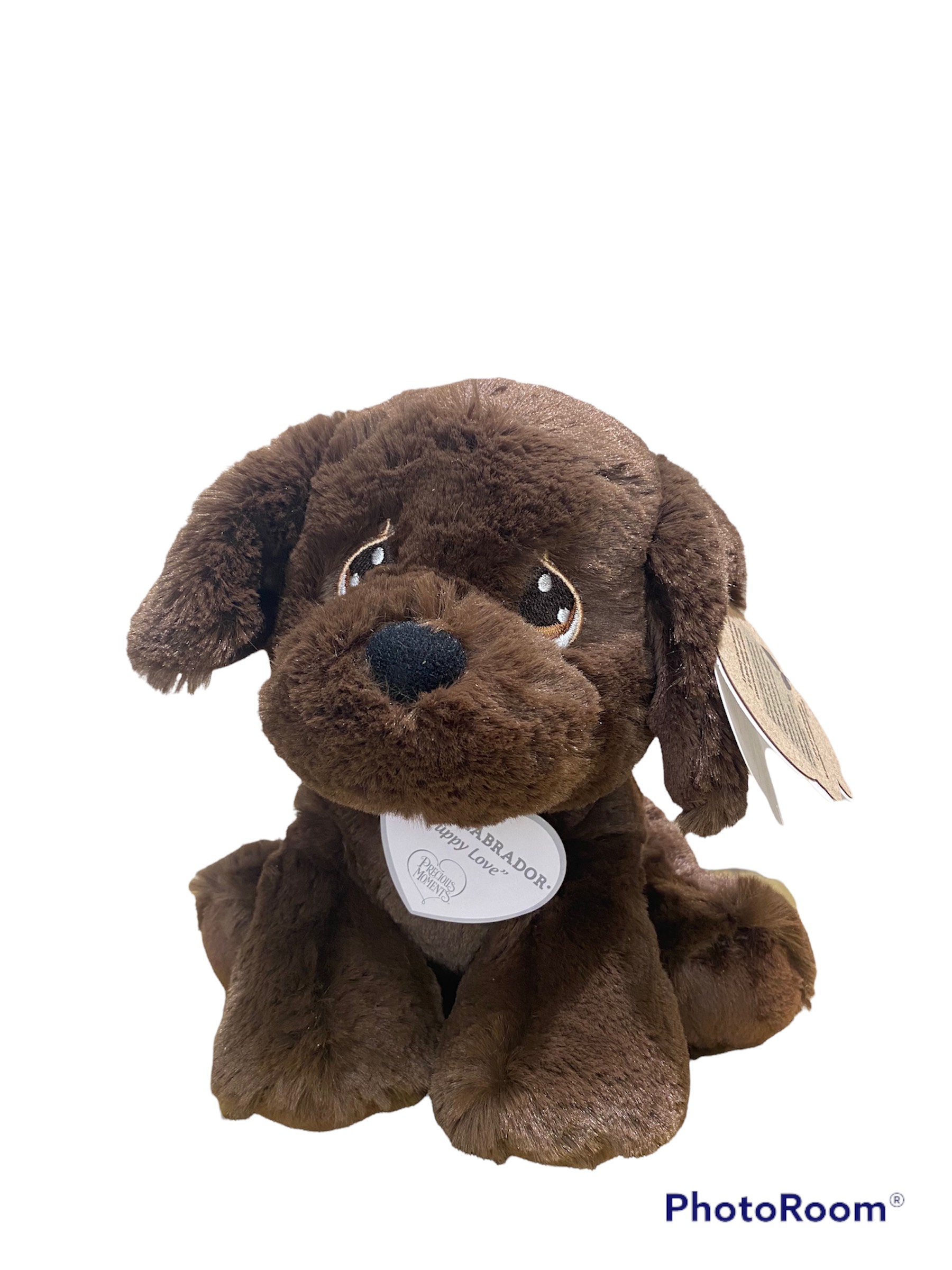 COCOA LABRADOR