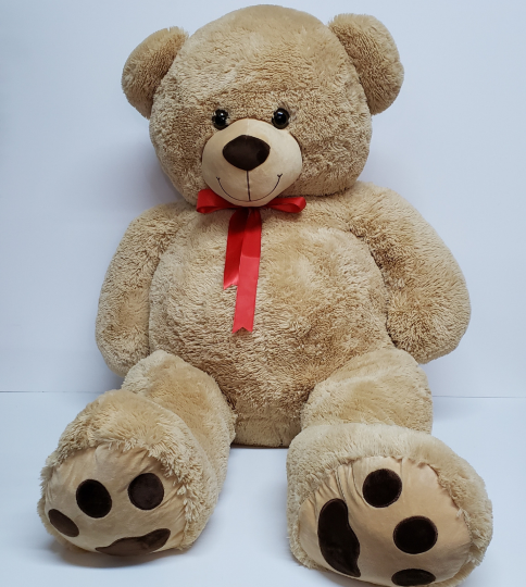 OSO FREDDY