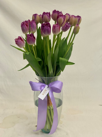 TULIP LAVANDA