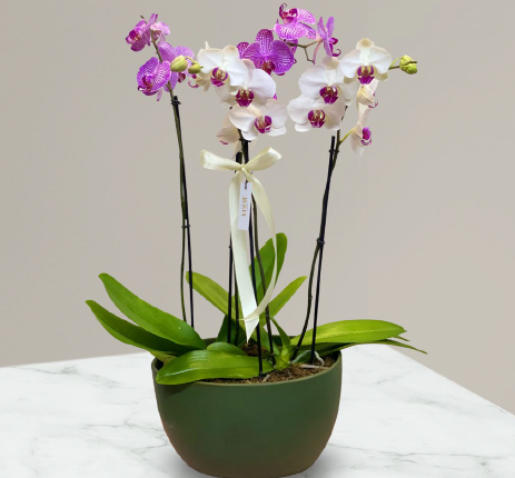 ORQUIDEAS BAG
