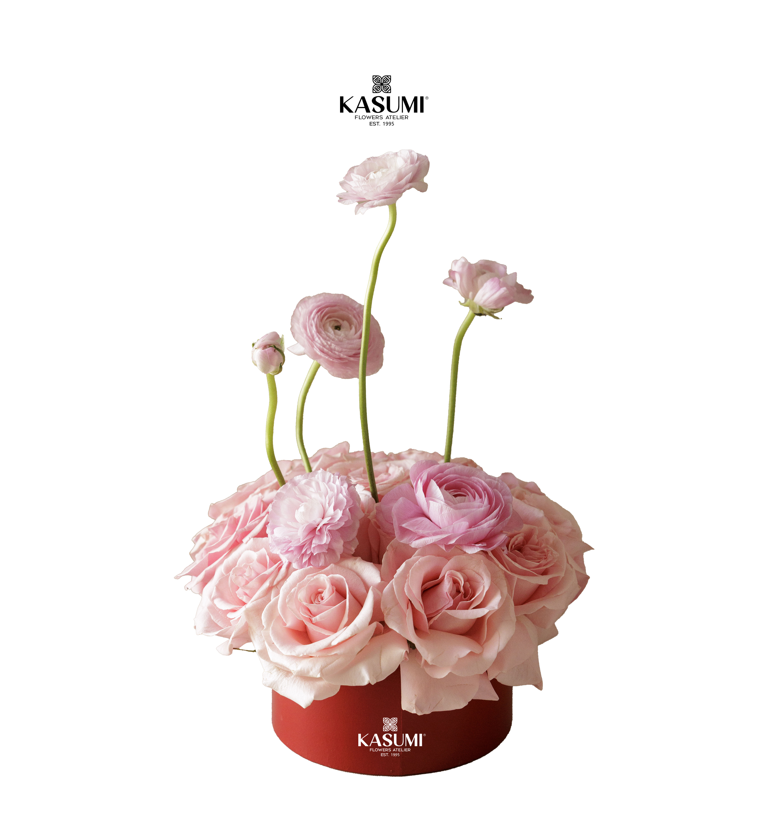 BABY ROSE