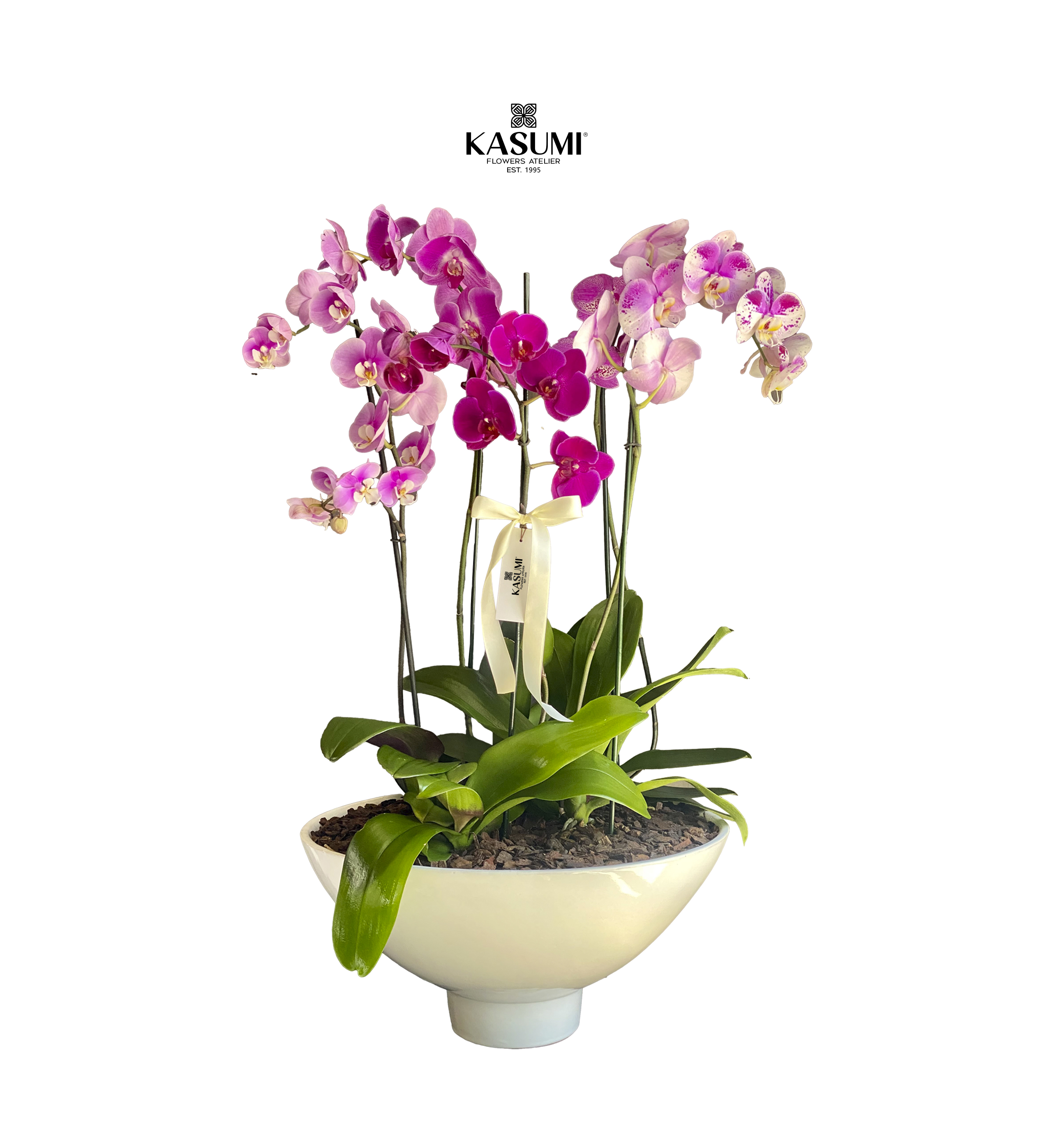 ABRAZO DE ORQUIDEAS