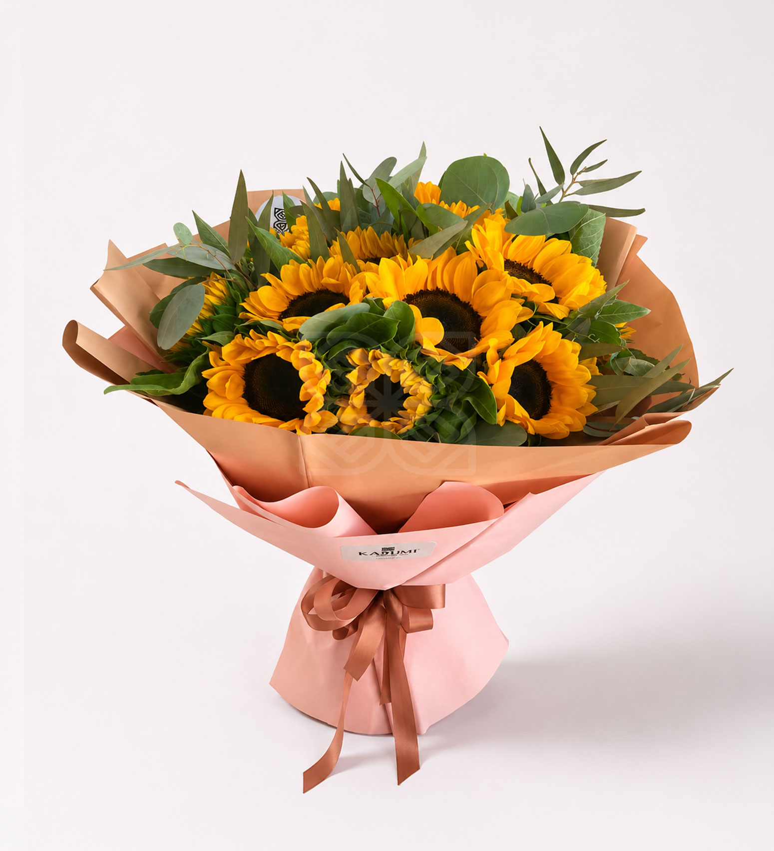 KMR 404