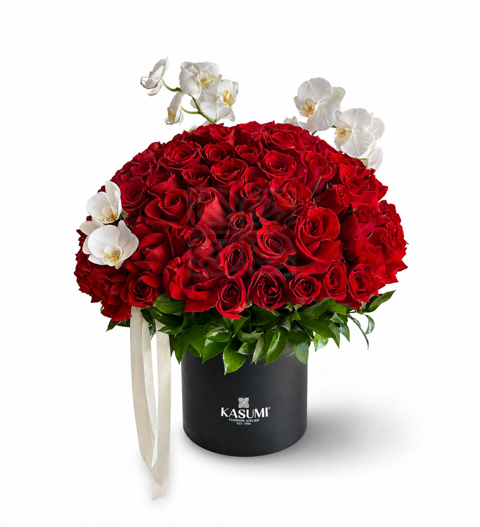 PASSION DE ORQUIDEAS