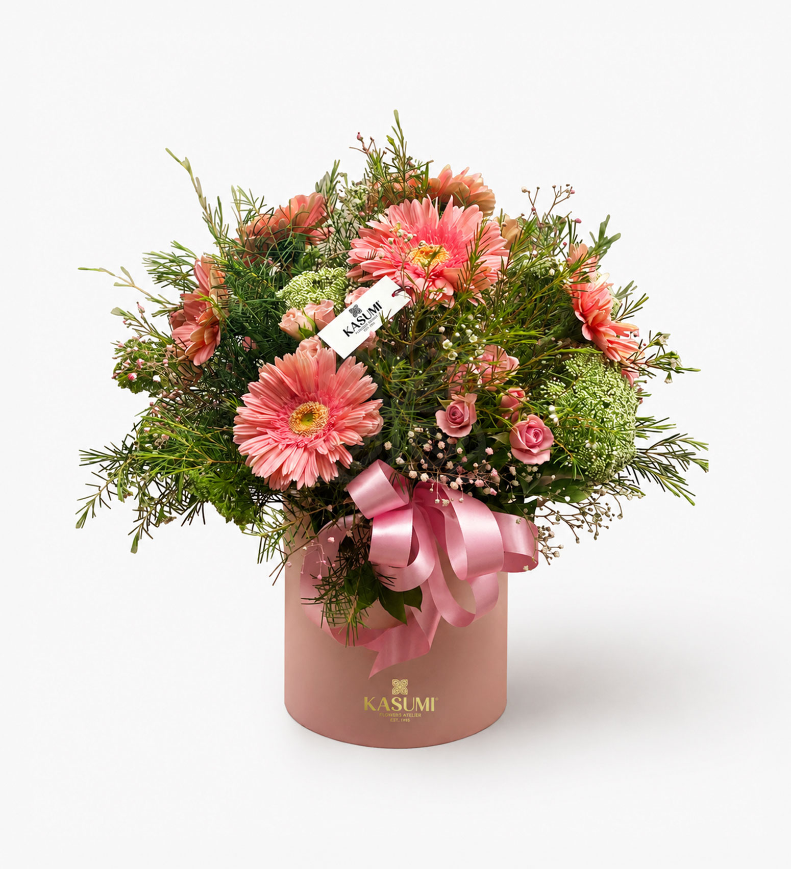 JARDIN DE GERBERAS