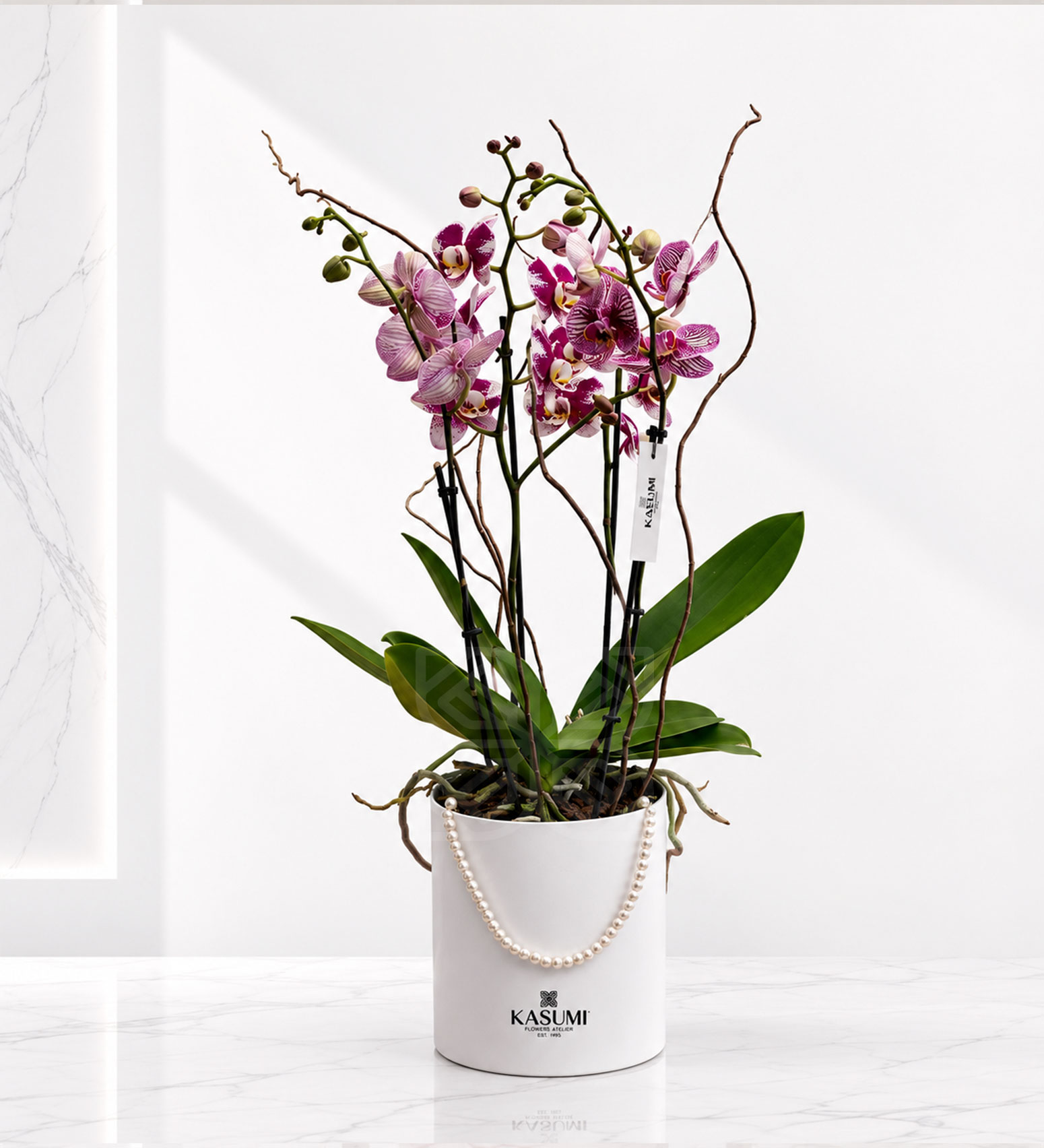 ORQUIDEA DE PERLAS