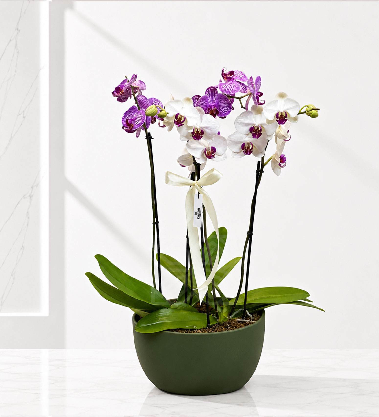 ORQUIDEAS BAG